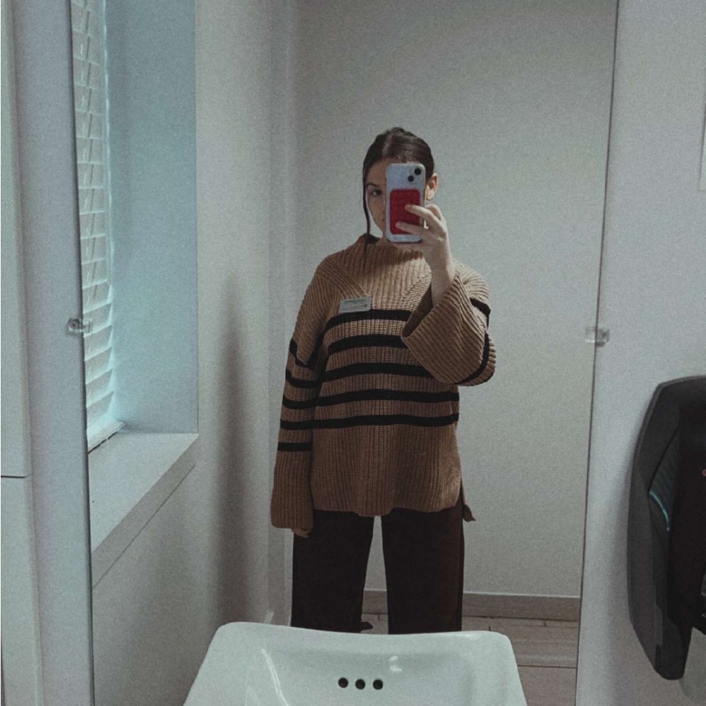 Striped Brown mock neck Sweater